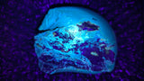 Beautiful Genuine 144g Blue Amber – Natural Amber, Untreated