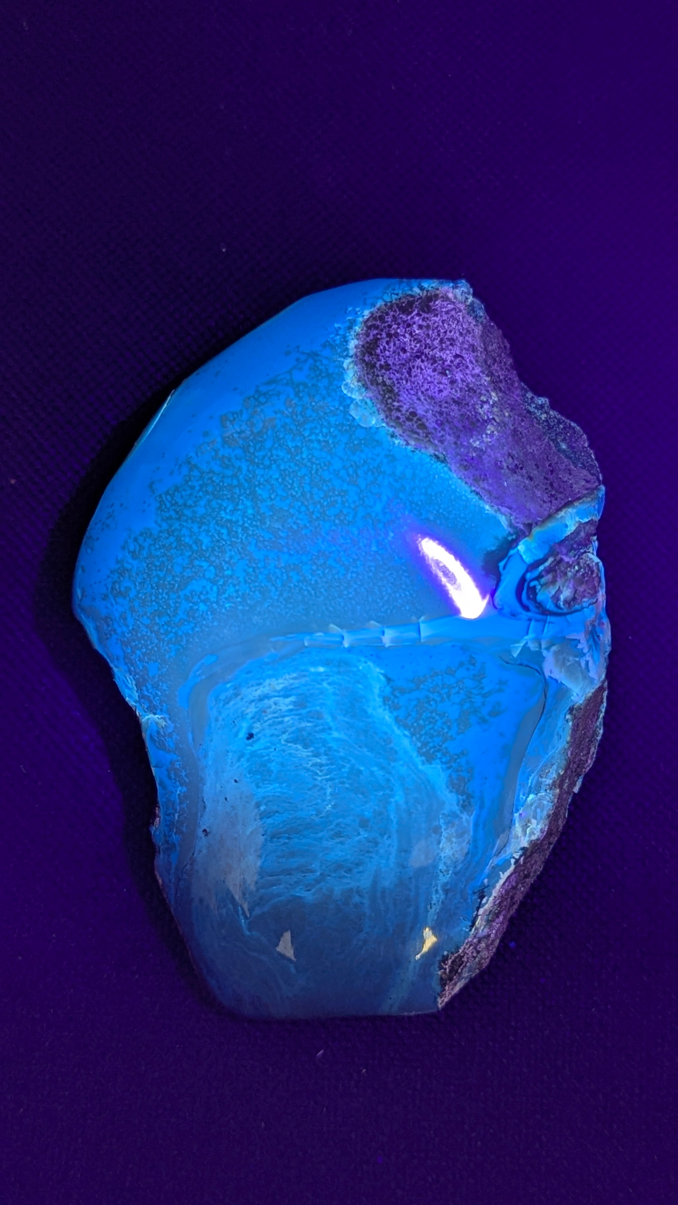 Beautiful Genuine 84g Blue Amber – Natural Amber, Untreated