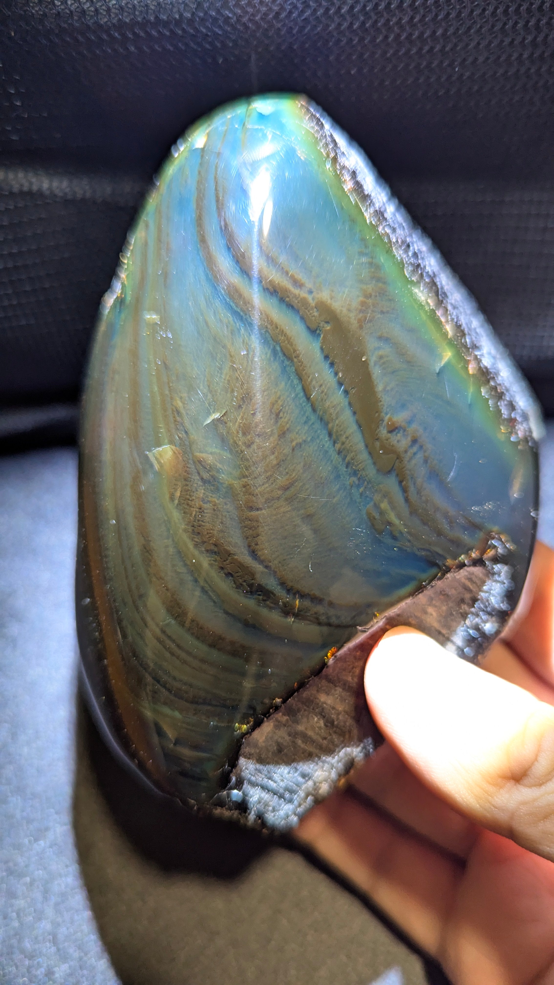 Rare Large Beautiful Genuine 195g Blue Amber – Natural Amber, Untreated