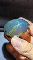 Rare Beautiful Genuine 20g Blue Amber – Natural Amber, Untreated