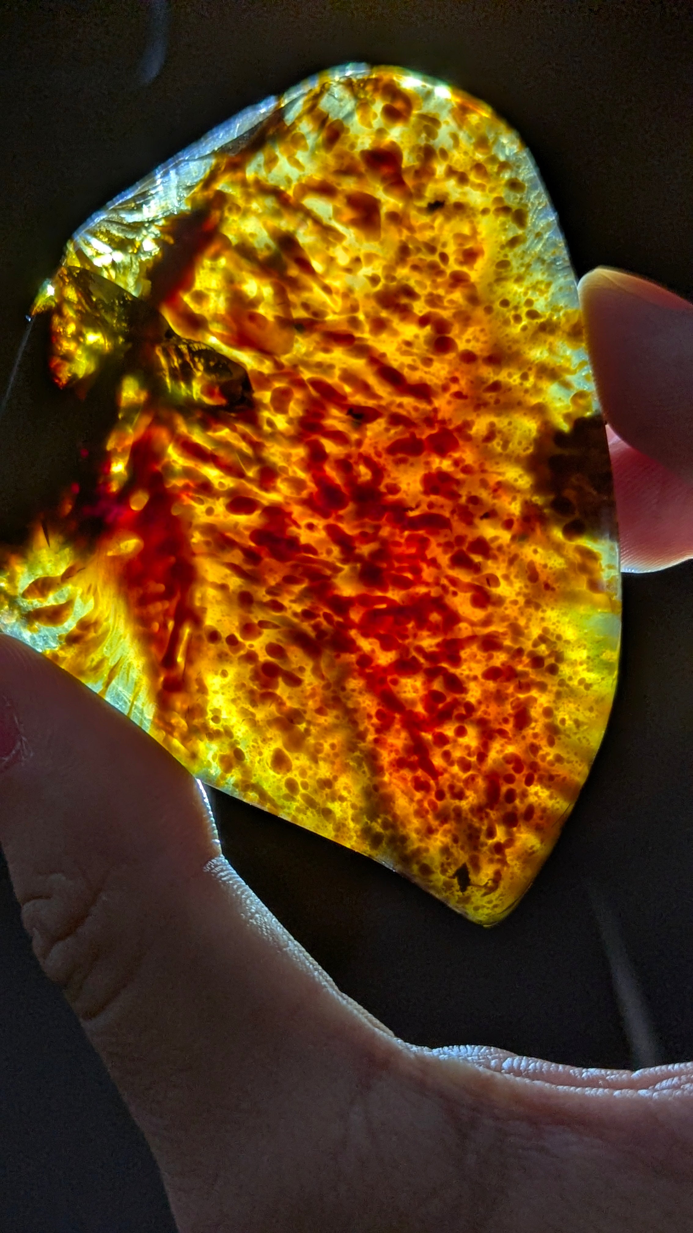 Rare Starry Lagoon Pattern with Natural Blue Glow - Polished Indonesian Blue Amber 42g Specimen