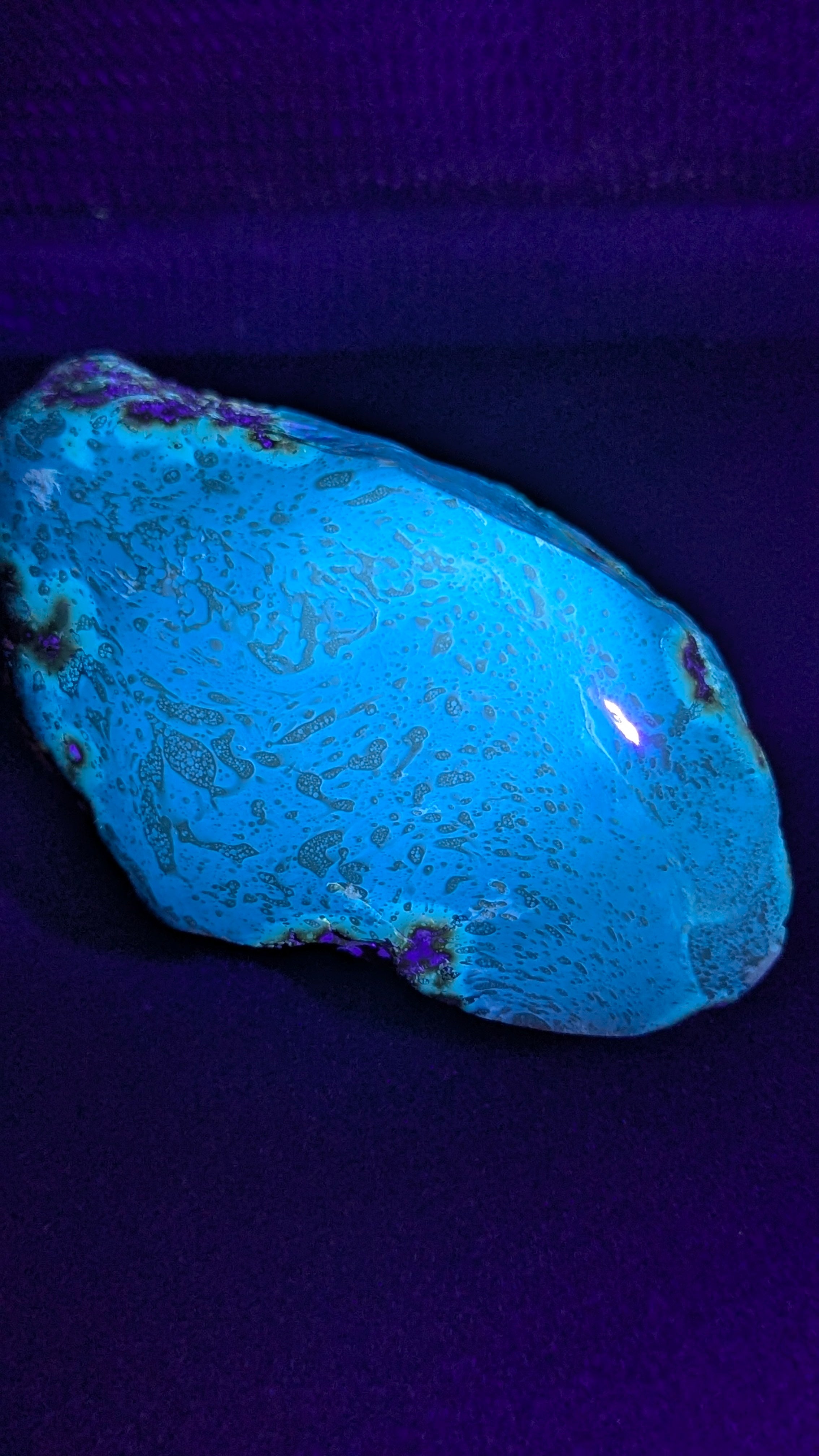 Natural Sumatran 81g Blue Amber “Celestial Atlas” — Polished Collector Specimen with Rare Blue-Green Glow & Ancient Map Pattern