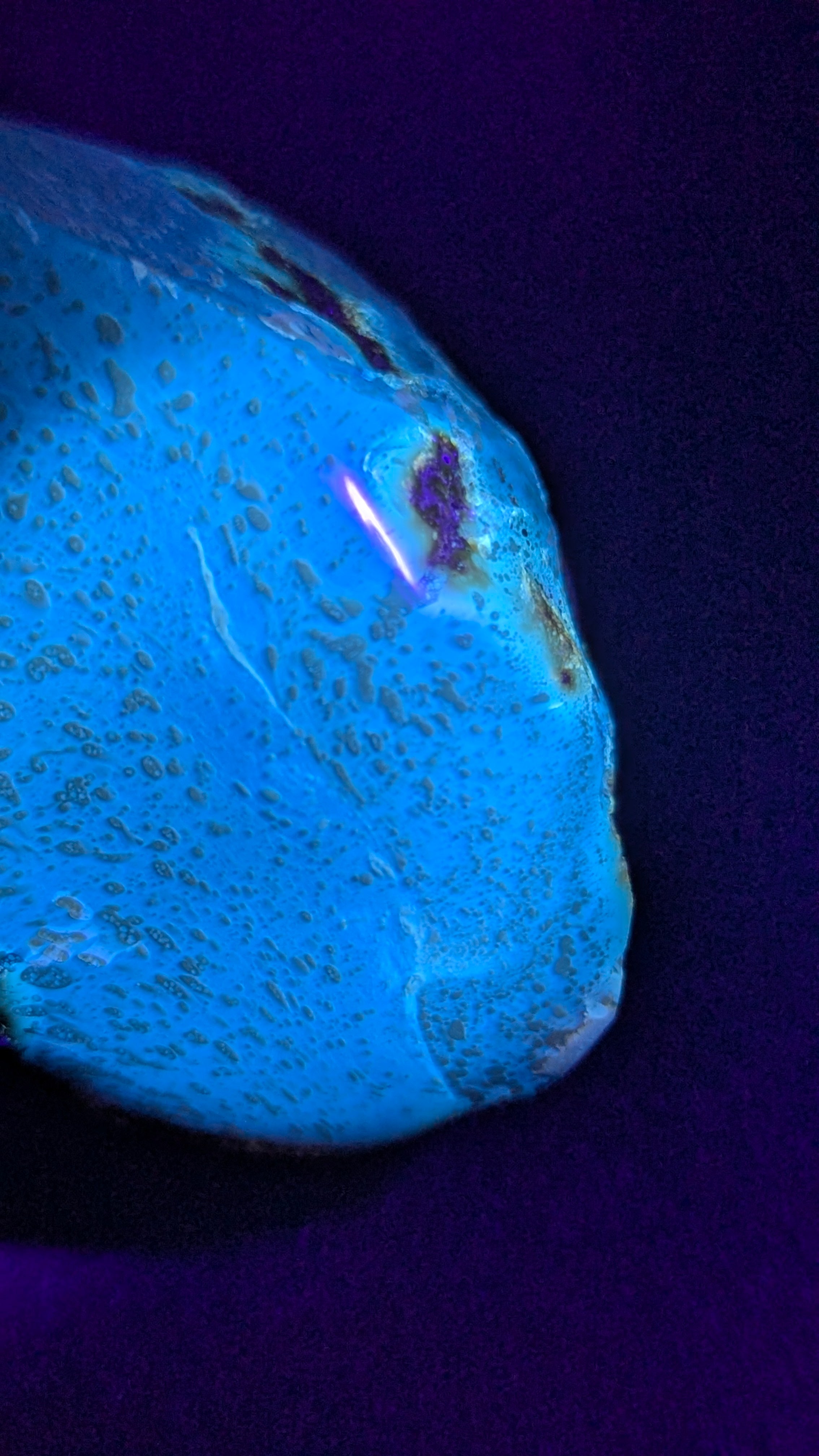 Natural Sumatran 81g Blue Amber “Celestial Atlas” — Polished Collector Specimen with Rare Blue-Green Glow & Ancient Map Pattern