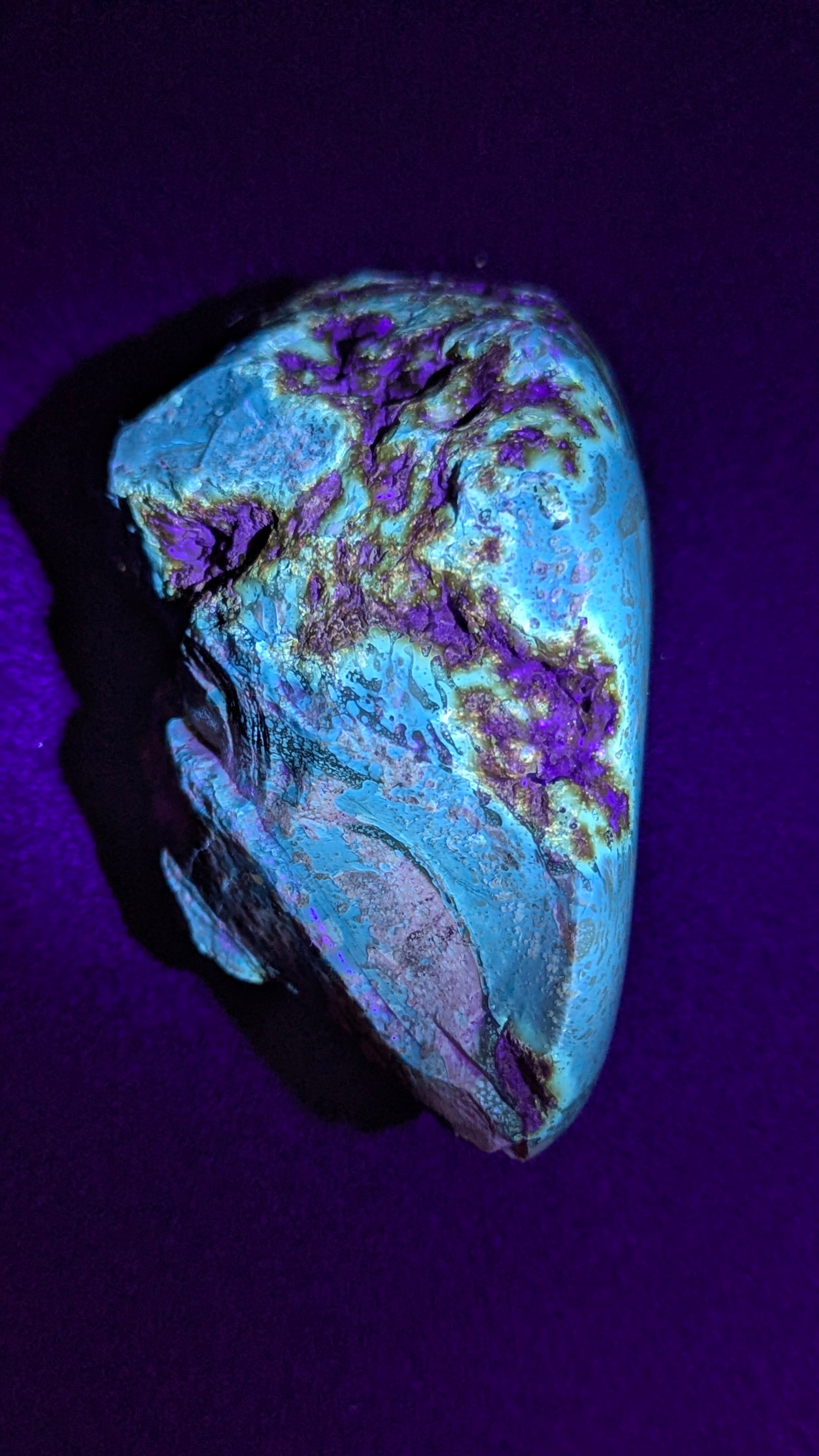 Natural Sumatran 81g Blue Amber “Celestial Atlas” — Polished Collector Specimen with Rare Blue-Green Glow & Ancient Map Pattern