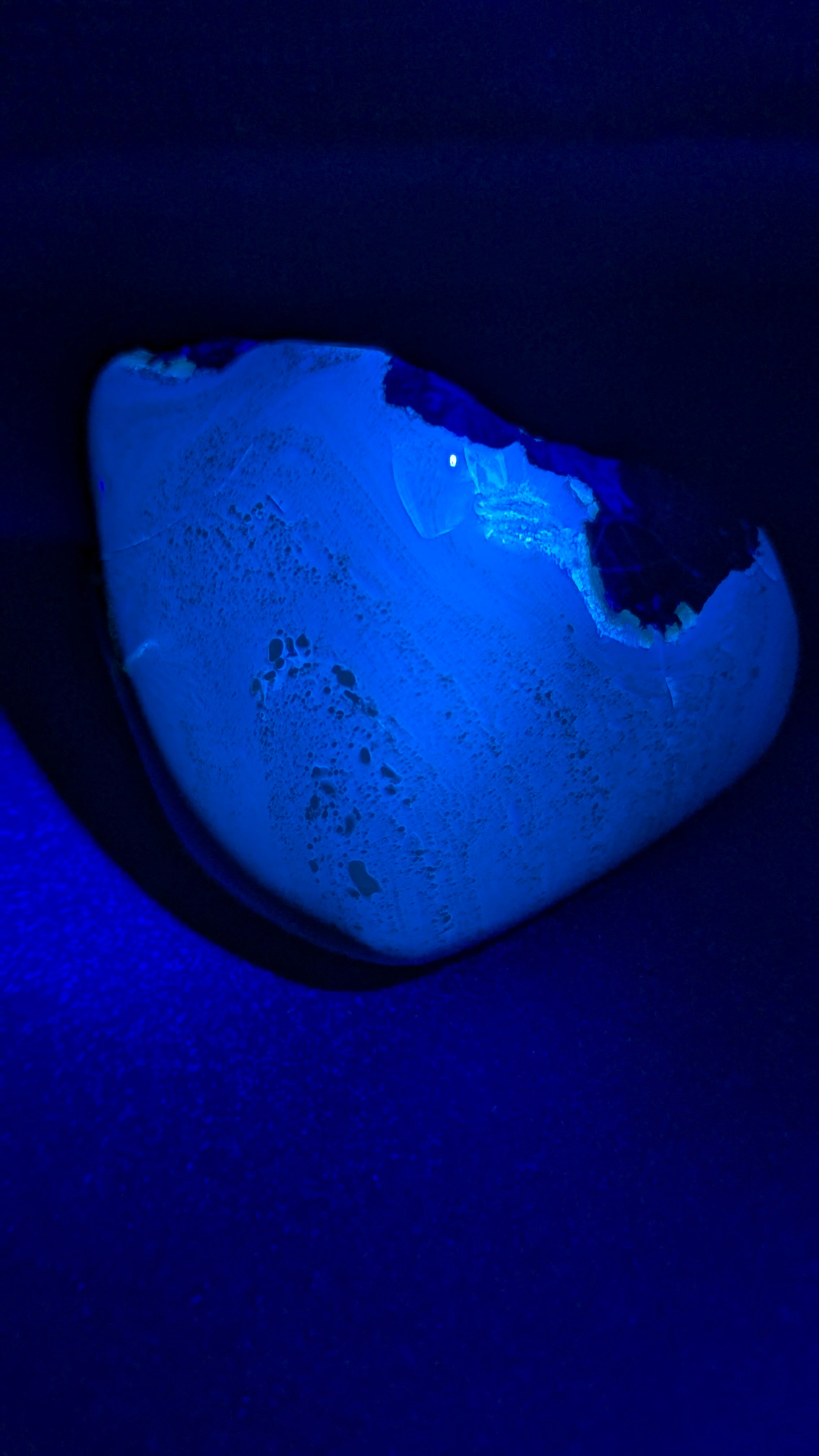 Natural Sumatran Blue Amber “Blue Moon Eclipse” 42G — Rare Polished Collector Specimen with Blue-Green Glow, Golden Star Inclusions & Raw Edge