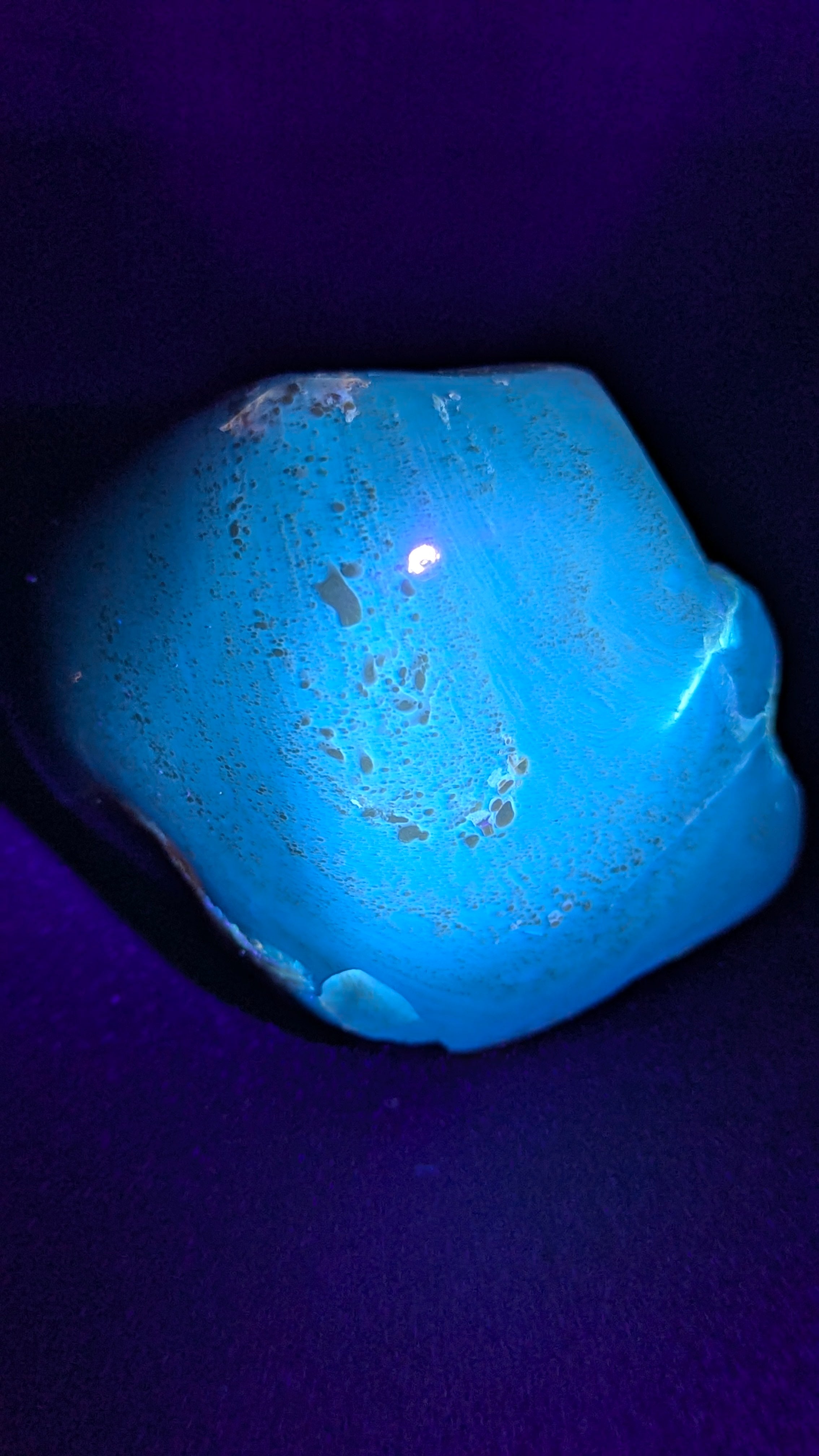 Natural Sumatran Blue Amber “Blue Moon Eclipse” 42G — Rare Polished Collector Specimen with Blue-Green Glow, Golden Star Inclusions & Raw Edge