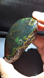 Natural Sumatran Blue Amber 45g Specimen – Emerald Forest Galaxy Pattern, UV Reactive Collector Amber with Golden Inclusions