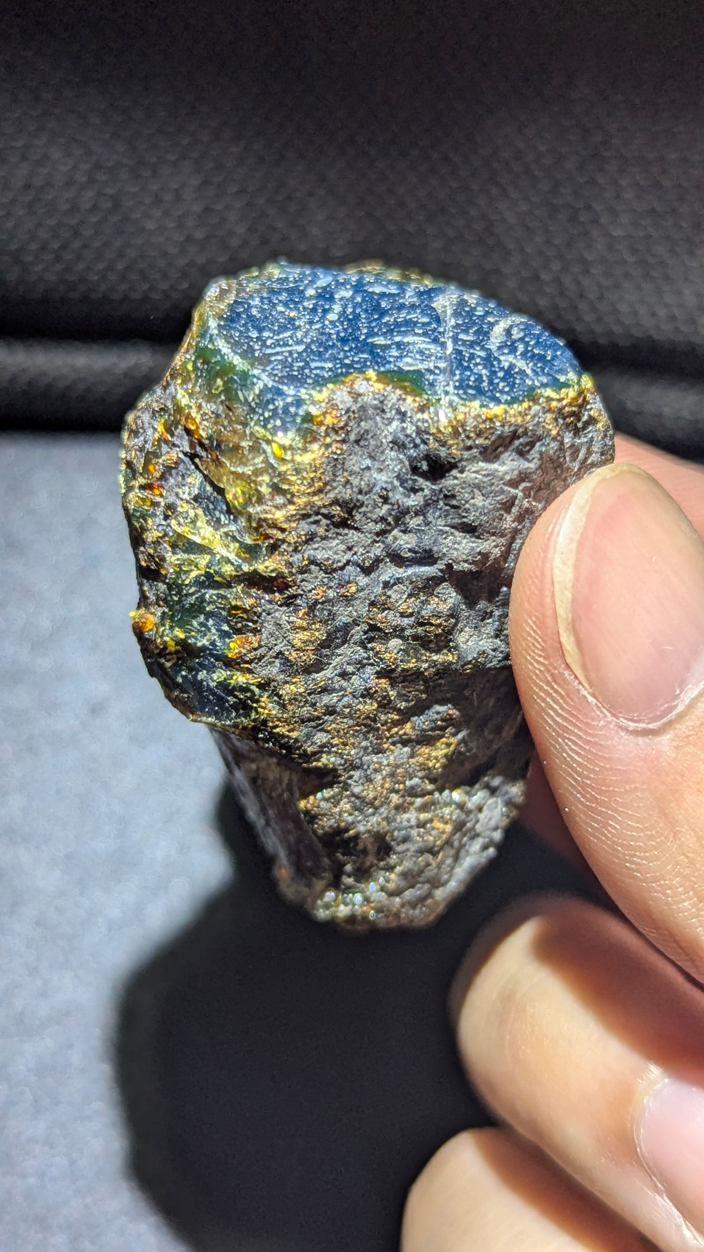 Natural Indonesian Blue Amber 18g Specimen – Deep Blue Window Pattern with Golden Honey Edges