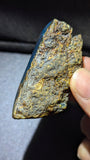 Natural Sumatran Blue Amber Specimen 19g – Blue Canyon Window Pattern, UV Reactive Collector Amber with Natural Rough Skin