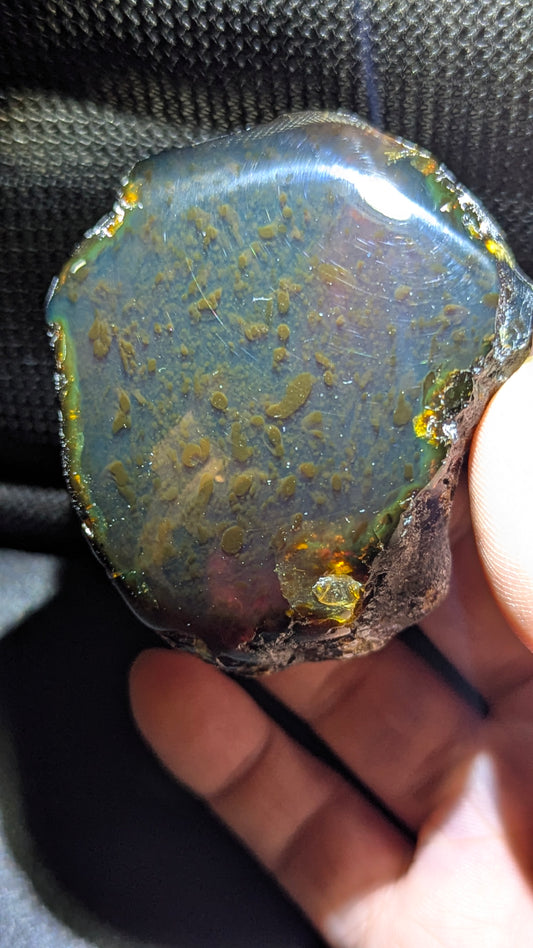 Cosmic Reef Sumatran Blue Amber 65g  – Polished Collector Specimen with Moss-Like Inclusions