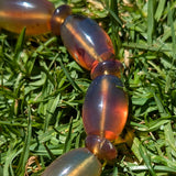 Rare Blue Amber Bracelet — Handmade “Ocean-to-Honey” Glow Statement Beads