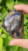 Rare Raw Blue Amber (67 Grams) – Sunlight Glowing, UV-Reactive Natural Gemstone