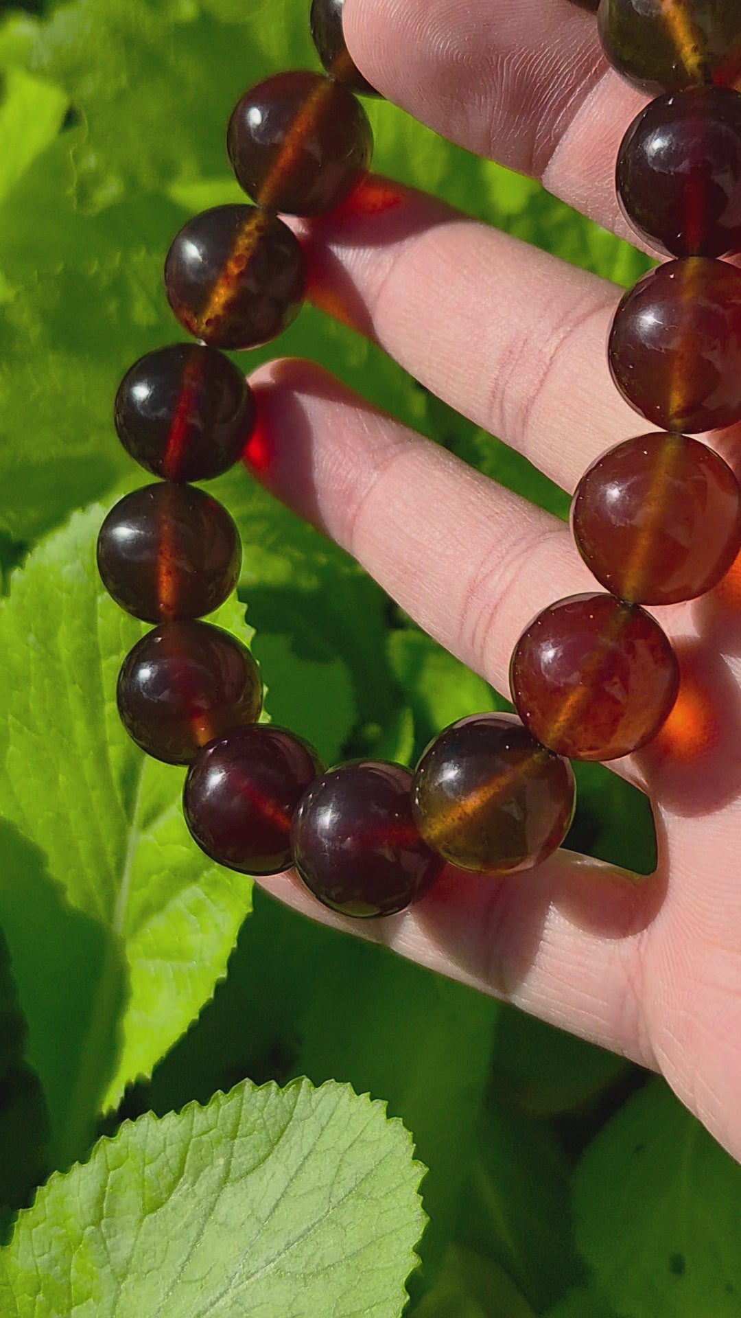 Natural Sumatran Blue Amber Bracelet – Polished Cognac Amber Beads | Indonesian Collector Jewellery