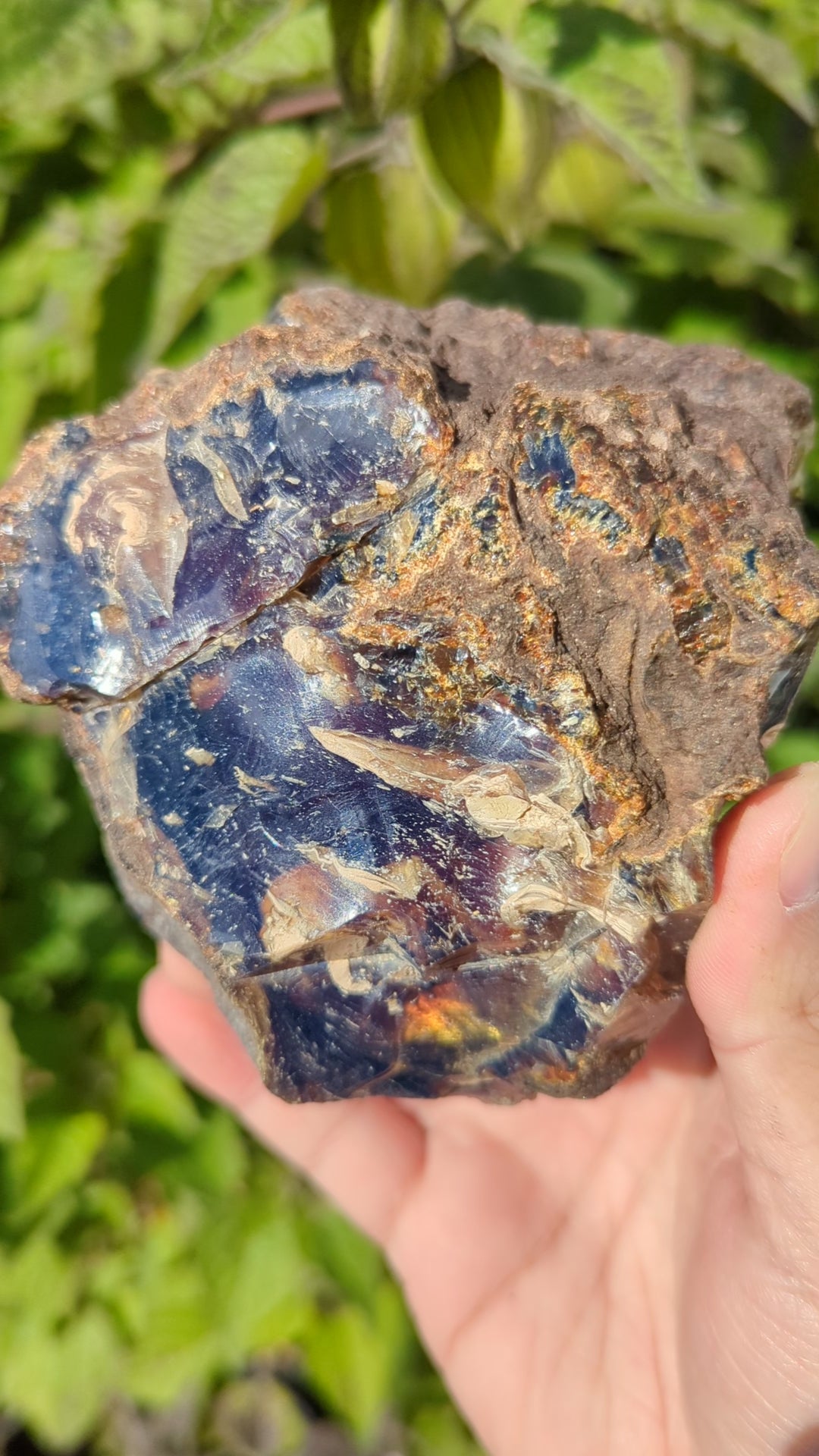 Rare Raw Blue Amber (335 Grams) – Sunlight Glowing, UV-Reactive Natural Gemstone