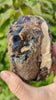 Rare Raw Blue Amber (275 Grams) – Sunlight Glowing, UV-Reactive Natural Gemstone