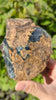 Rare Raw Blue Amber (280 Grams) – Sunlight Glowing, UV-Reactive Natural Gemstone