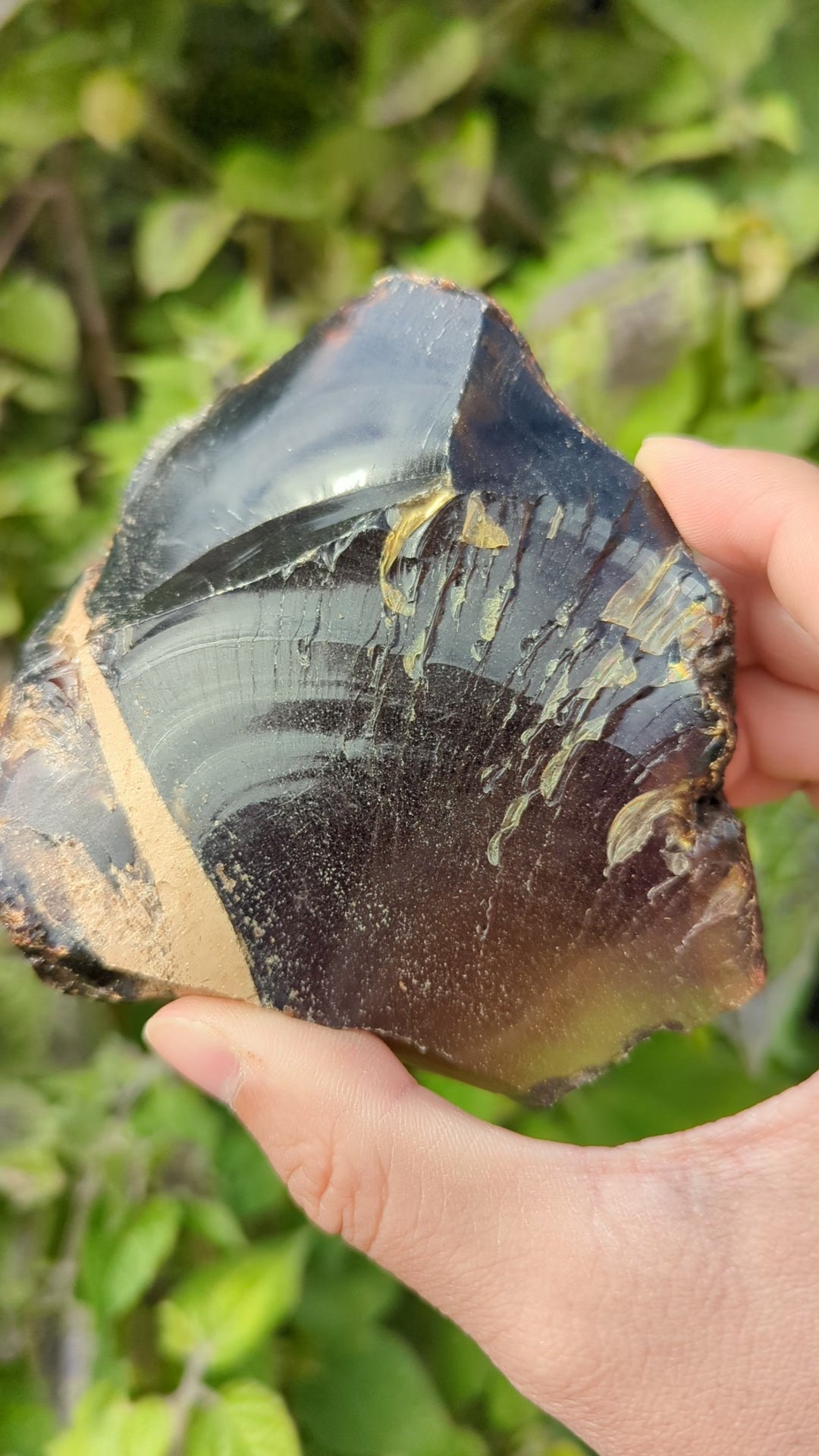 Rare Raw Blue Amber (181 Grams) – Sunlight Glowing, UV-Reactive Natural Gemstone
