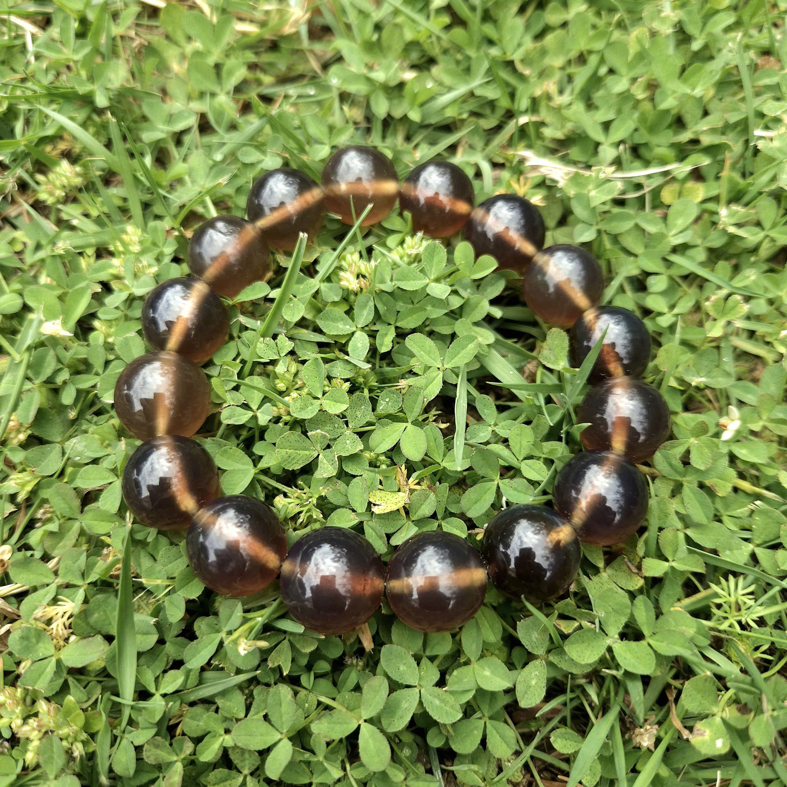 Authentic Blue Amber Bracelet - 15 mm beads (16 beads) - Reddish Brown Type