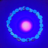 Authentic Blue Amber Necklace - 25 beads - Raw Skin Type